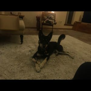 Meet your Posher, Elise